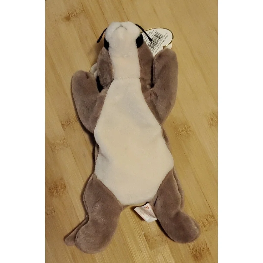 TY Beanie Baby Canyon‎ the Cougar